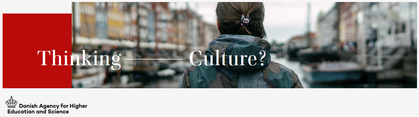 Read more about the article Danish State Scholarship (Beasiswa Pemerintah Denmark)
